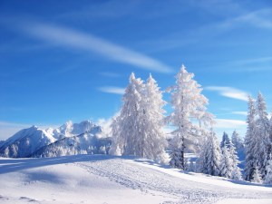 winter_landscape_1600